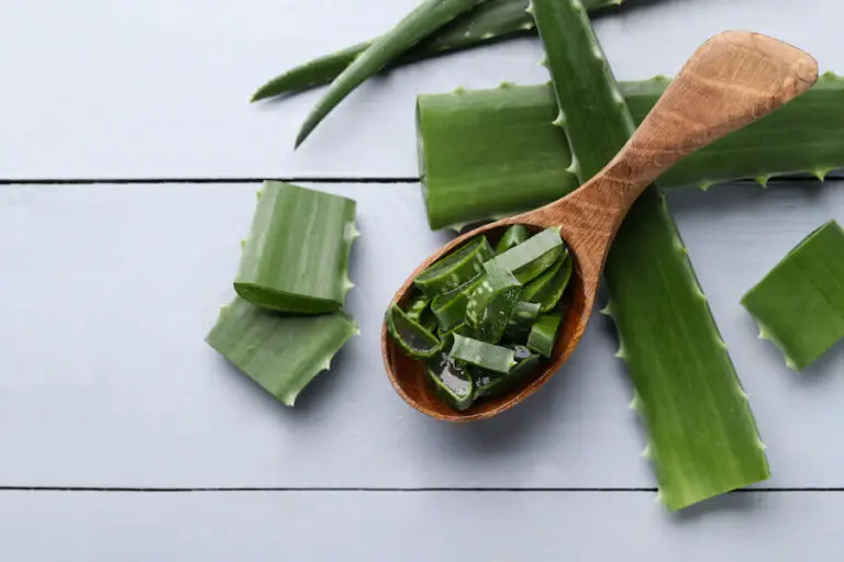 Is olive oil and aloe vera good for skin?